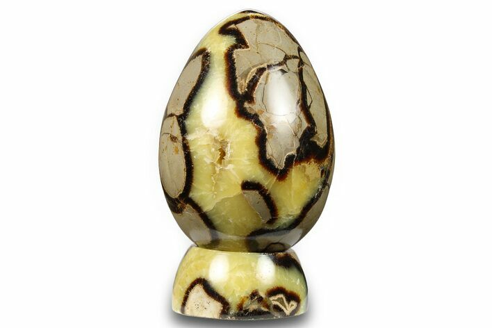 Polished Septarian Egg with Stand - Madagascar #260949